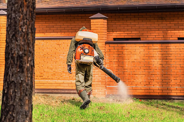 Top rated local Mosquito Control specialists in West Puente Valley, CA